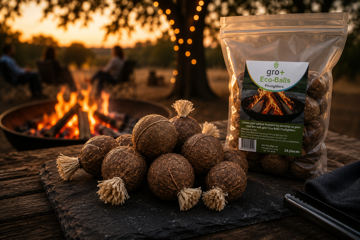 IgniteX Eco-Balls Firelighters | 24 Pack