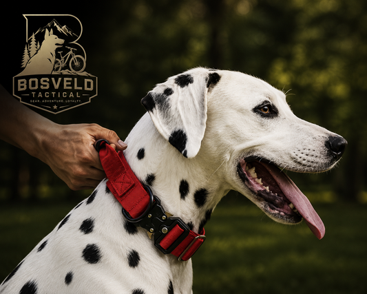 BossGrip Pro Training Collar